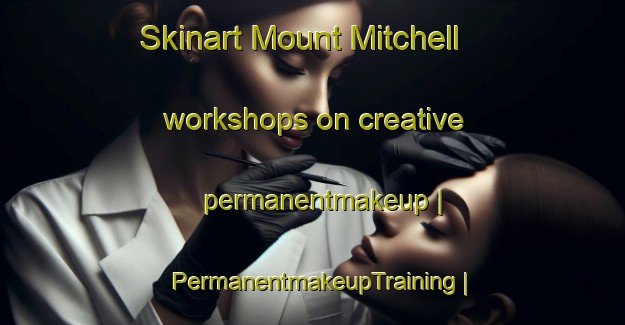 Skinart Mount Mitchell workshops on creative permanentmakeup | PermanentmakeupTraining | PermanentmakeupClasses | SkinartTraining-United States